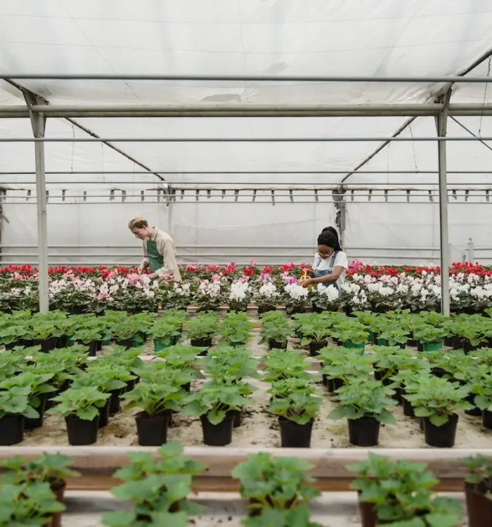 Container Herb Gardening: Fresh Flavors at Your Fingertips